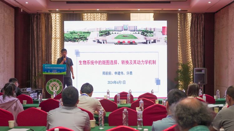 hg皇冠官网
